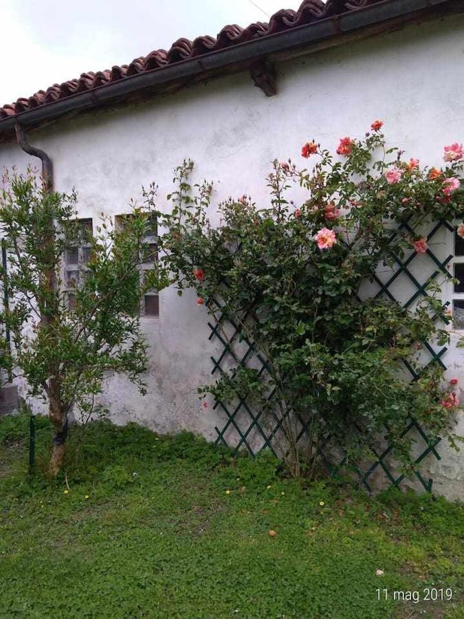 Bed and Breakfast Beb Infamiglia Cascinette Zewnętrze zdjęcie